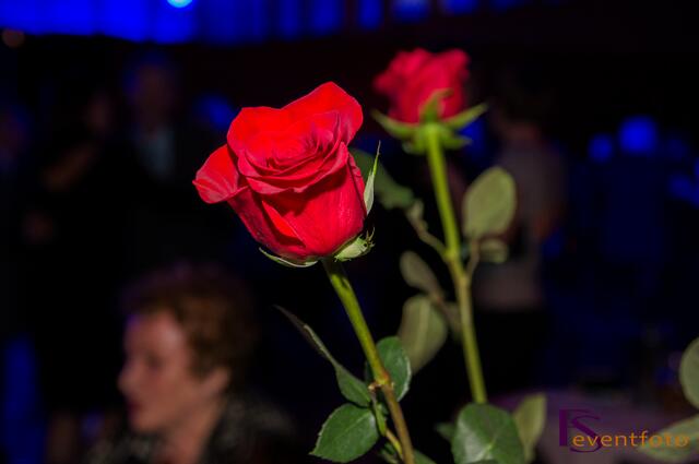 27. Ball der Junggebliebenen 2014 in Friedberg