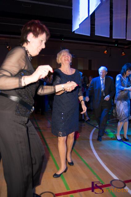 27. Ball der Junggebliebenen 2014 in Friedberg