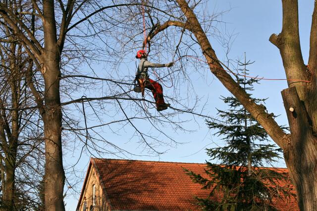 ....ein "Klettermaxe " in Aktion !!!!