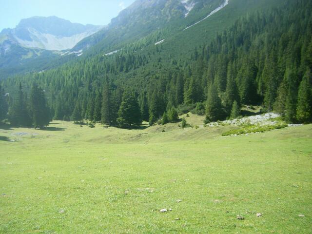 ..an Wald und...