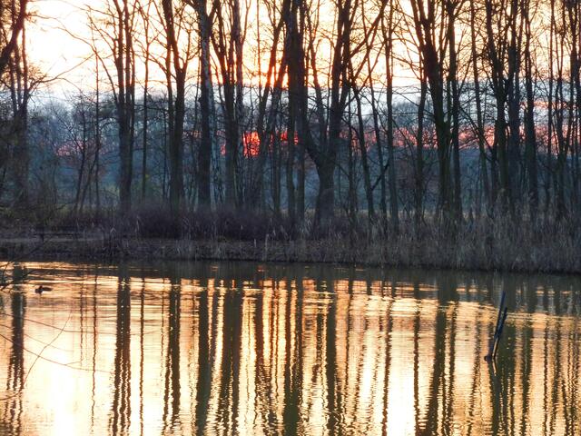 Das Wasser schimmert nun in kostbarem Rotgold.
