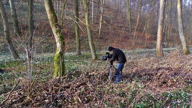 Der MDR zu Gast bei "myheimat" zur Märzenbecherblüte in Krawinkel und in Landgrafroda - am 6.3.2014 !
