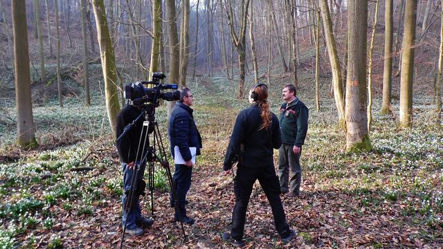 Der MDR zu Gast bei "myheimat" zur Märzenbecherblüte in Krawinkel und in Landgrafroda - am 6.3.2014 !