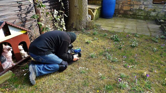 Der MDR zu Gast bei "myheimat" zur Märzenbecherblüte in Krawinkel und in Landgrafroda - am 6.3.2014 !