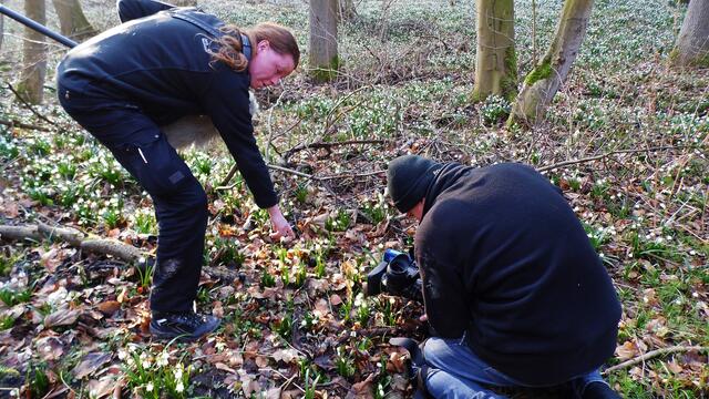 Der MDR zu Gast bei "myheimat" zur Märzenbecherblüte in Krawinkel und in Landgrafroda - am 6.3.2014 !