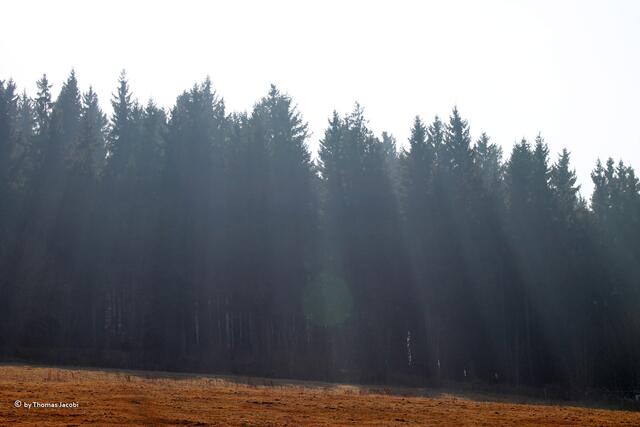 Sonnenstrahlen