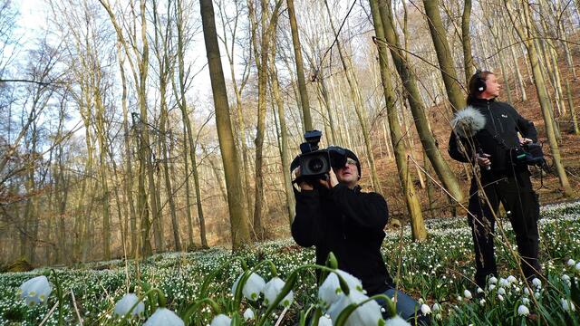 Der MDR zu Gast bei "myheimat" zur Märzenbecherblüte in Krawinkel und in Landgrafroda - am 6.3.2014 !