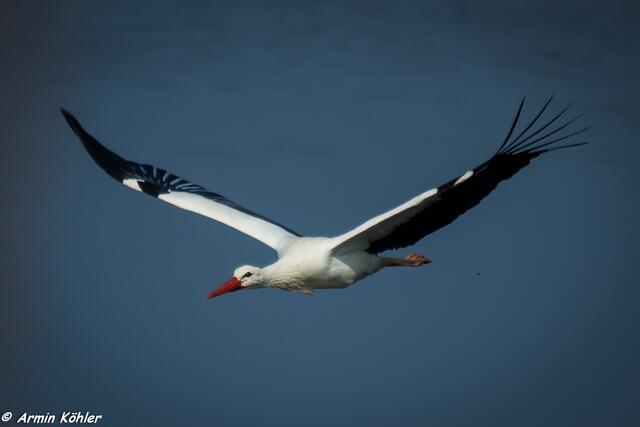 Flucht