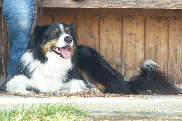 So mancher ist ganz entspannt ......