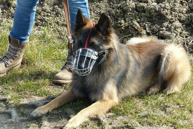 "Was macht DER da!!????"