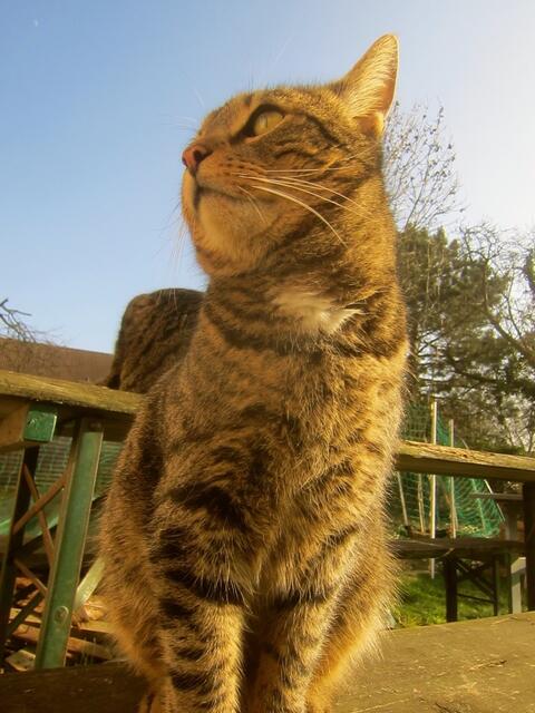 (Fritz:) Hier guckt keiner ...