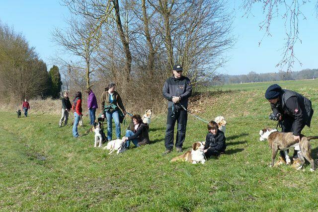 Es dauert schon, bis alle "vorschriftsmäßig" über die Straße kommen .... Chillen im Gras