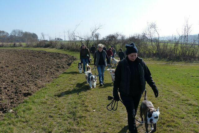 Spaziergang in gebührlichem Abstand ...