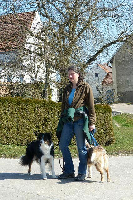 wieder ohne Worte und Geste .....Stehenbleiben, warten bis der Hund  sich setzt, dann wortlos die Straße Überqueren ...