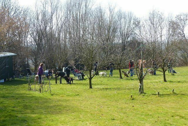Wieder zurück auf der Neuhauser Hundewiese ...
