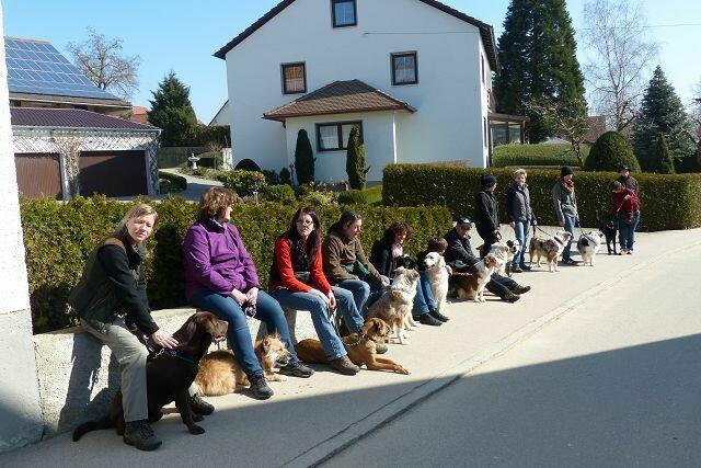 Warten in der Sonne gefällt Hund und Frauchen