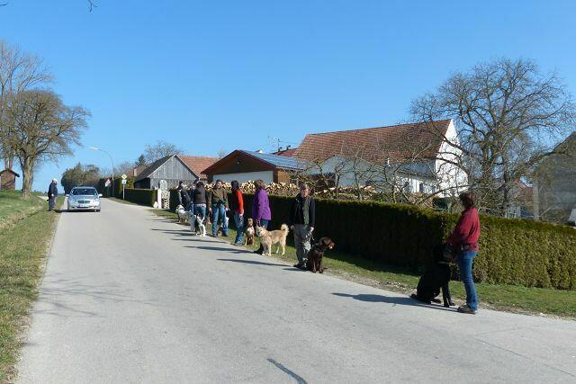 Anstehen zum Straße überqueren ... Überprüfung des Gelernten