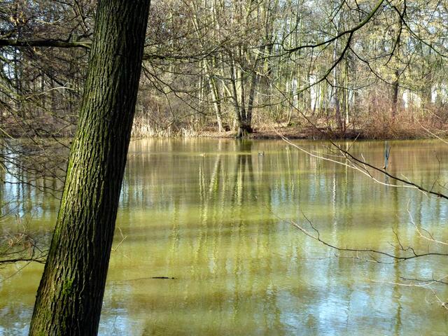 Der See lädt zum Meditieren oder zum Träumen ein.
