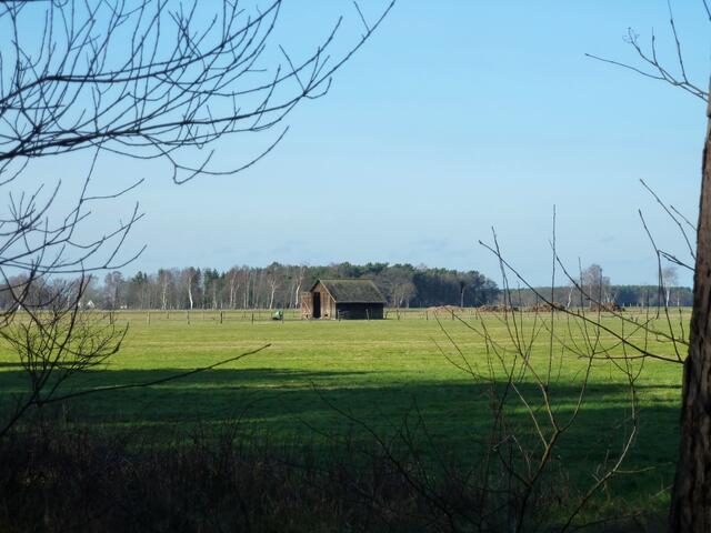 Norddeutsches Landschaftsidyll