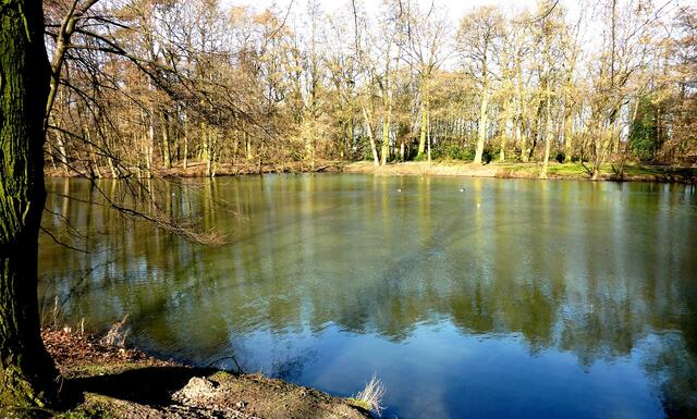 Die Sonne hat einen Baum auf das Wasser mit den gespiegelten Bäumen gemalt.