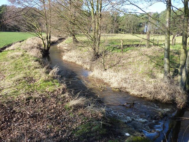 An der Auter ist es idyllisch.