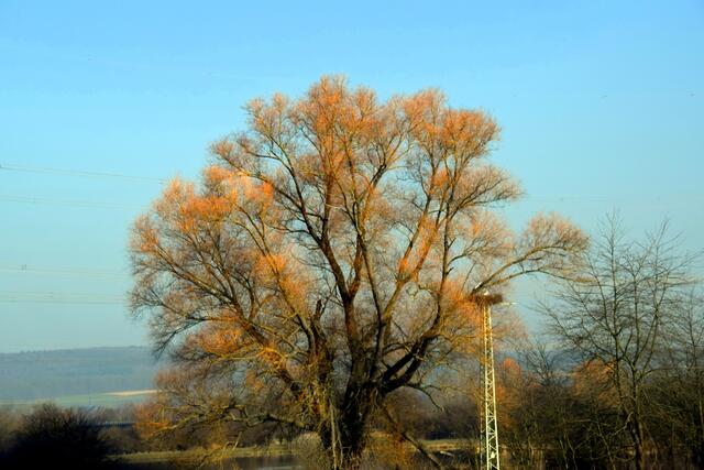 ...als blauer Himmel und viel Sonnenschein????