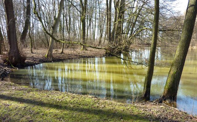 Licht, Schatten und Spiegelungen verzaubern die Landschaft.