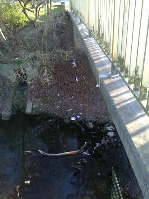 Gronau:Müll_13.03.14_ca.16:30_Schulweg-Stadtgrabenufer seit Monaten vermüllt! Ebenso Brücke L482-Ufer! Verstoß gegen EU-WRRL und negativ für Gronau-REK Leinebergland- Tourismusförderung. 13.06.14 Gronau: Landkreis Hi, Herr Heise begutachtet die Müllstellen.