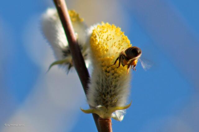 ...Aufprall. :-))