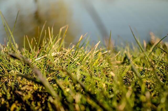 Ups, dass war es; nun ruhen wir uns im Gras aus !!!