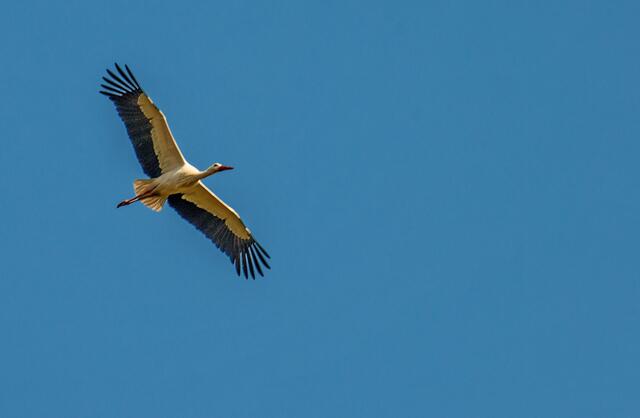 Abflug