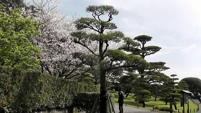 Massgeschneiderte Parkanlage in Kagoshima