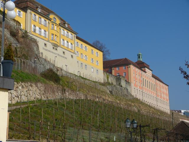 Staatsweingut Meersburg.