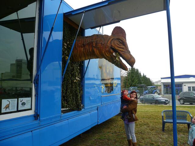 Dinosaurier in Querfurt – Im Reich der Urzeit  - am 18.3.2014 !