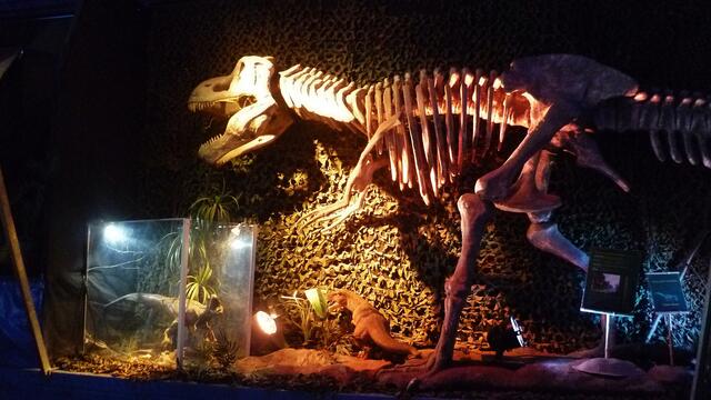 Dinosaurier in Querfurt – Im Reich der Urzeit  - am 18.3.2014 !