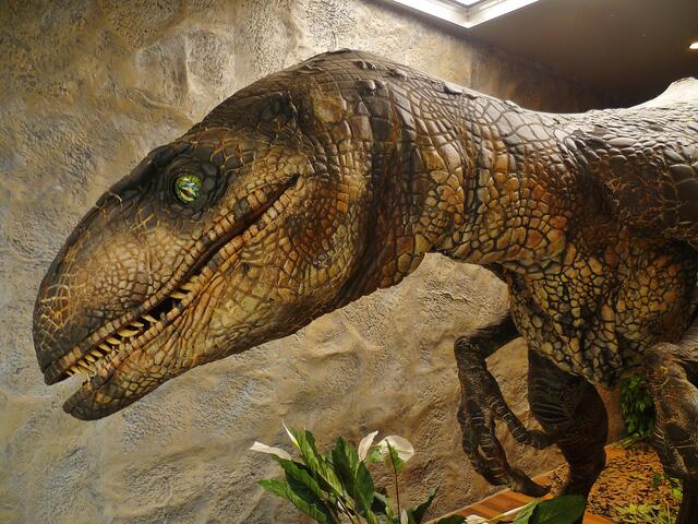 Dinosaurier in Querfurt – Im Reich der Urzeit  - am 18.3.2014 !