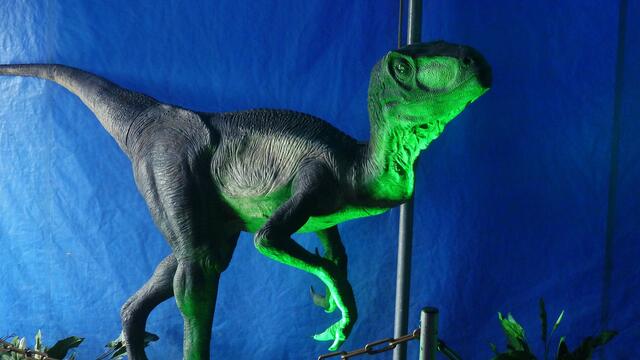 Dinosaurier in Querfurt – Im Reich der Urzeit  - am 18.3.2014 !