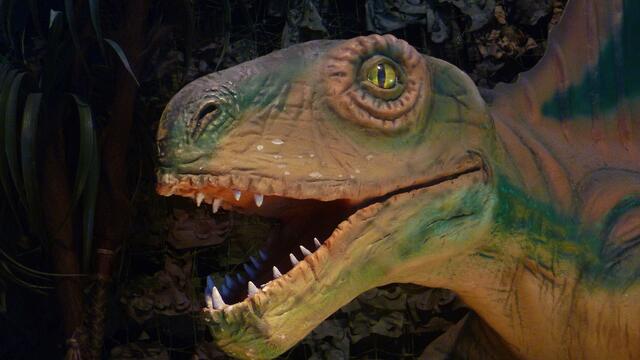 Dinosaurier in Querfurt – Im Reich der Urzeit  - am 18.3.2014 !