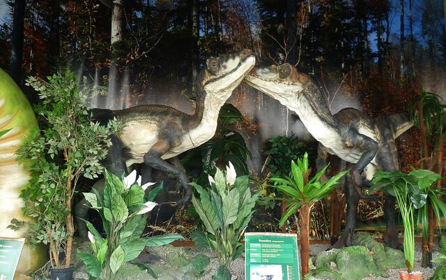 Dinosaurier in Querfurt – Im Reich der Urzeit  - am 18.3.2014 !