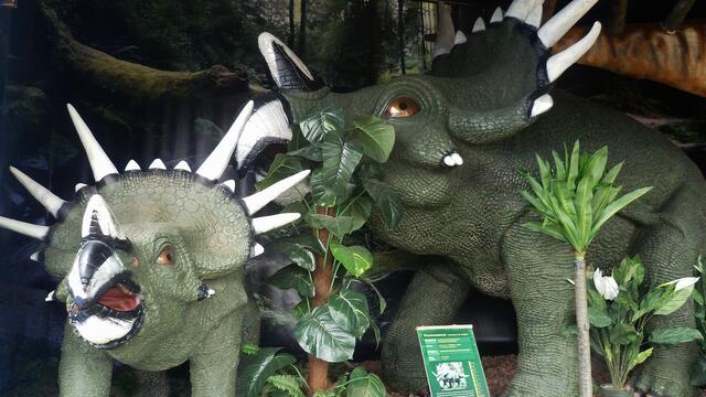 Dinosaurier in Querfurt – Im Reich der Urzeit  - am 18.3.2014 !