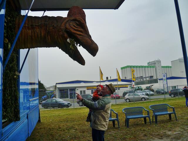 Dinosaurier in Querfurt – Im Reich der Urzeit  - am 18.3.2014 !