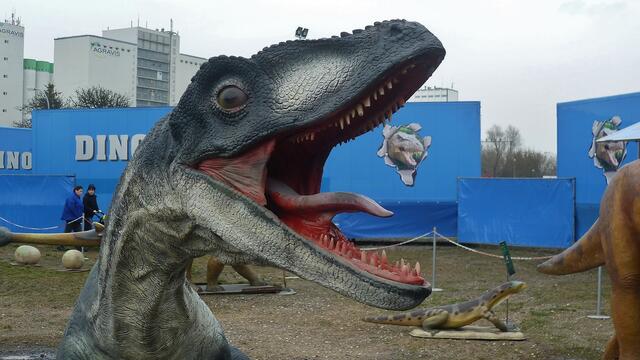 Dinosaurier in Querfurt – Im Reich der Urzeit  - am 18.3.2014 !