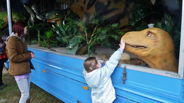 Dinosaurier in Querfurt – Im Reich der Urzeit  - am 18.3.2014 !