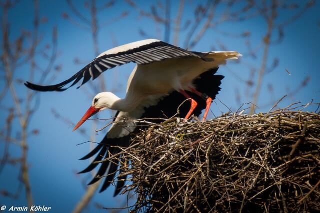 Abflug