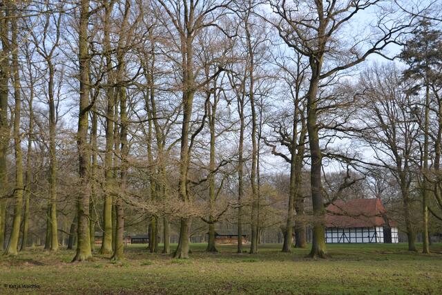 Futterplatz mit historischer Scheune im Tiergarten Hannover (Foto: Katja Woidtke)