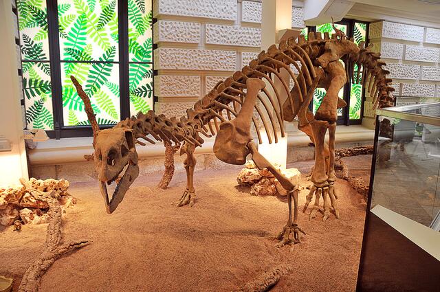 Skeletts eines Plateosaurus