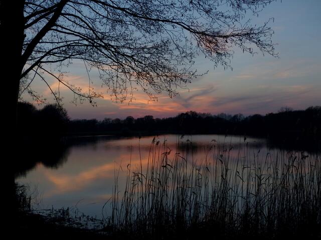 Wunderschöne Frühlingsimpressionen am Wasser. Wir konnten Samstagabend (29. März) bei angenehmen Temperaturen einen zauberhaften und farbenprächtigen Sonnenuntergang am Wietzesee erleben.