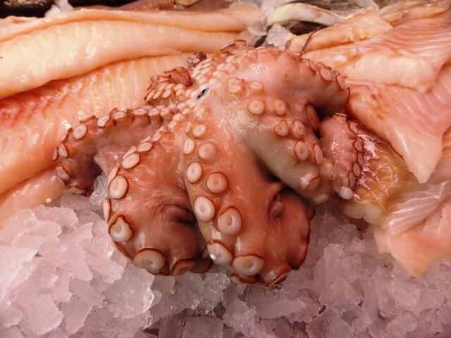 An den Pulpo (Tintenfisch) habe ich mich bisher noch nicht rangetraut ;-)