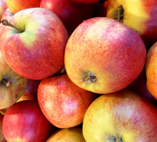 Knackig und gesund