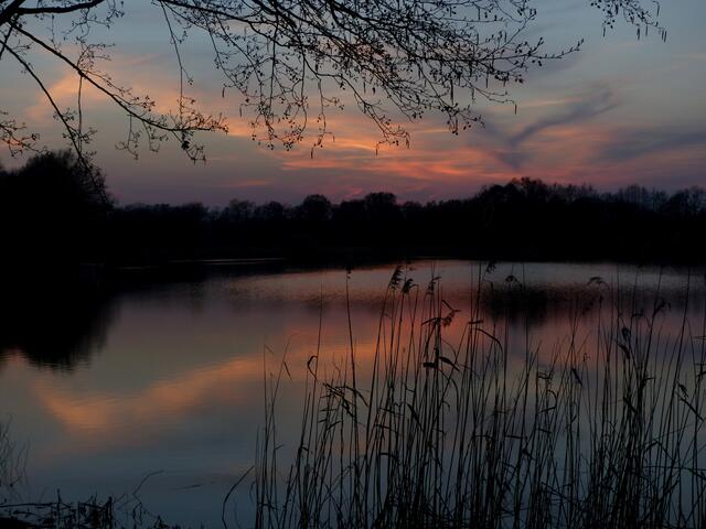 Mit diesen harmonischen Aufnahmen (mit etwas Phantasie sehen wir am Abendhimmel einen Wolkenvogel, auf dem Flug in der Frühling) des wundervollen Endes eines schönen Frühlingtages möchte ich meinen Beitrag ausklingen lassen...